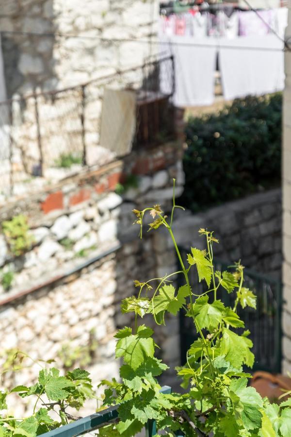 Luxury Apartment Silvana With Beautiful Garden Split Exterior foto